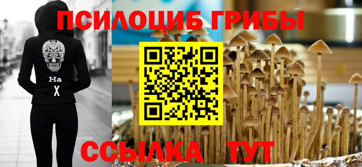 цена   Псилоцибиновые грибы MAGIC MUSHROOMS  Вход с VPN  Шали 