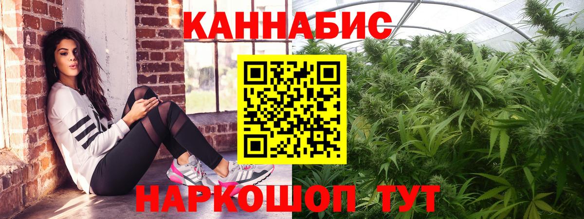 Бошки марихуана конопля Шали